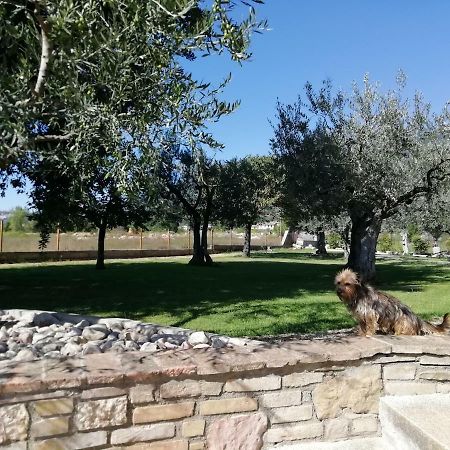 Apartmán La Lanterna Di Lanfo Assisi Exteriér fotografie